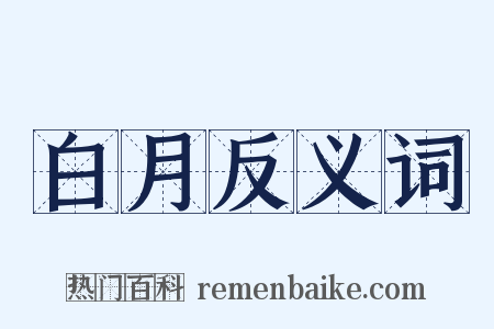 白月反义词是什么意思的图片